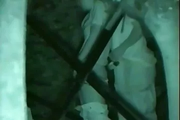 Ngáp không vua dit vua bu sua gian.