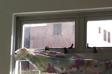 Hardcore tình yêu. sex đảo hải tặc